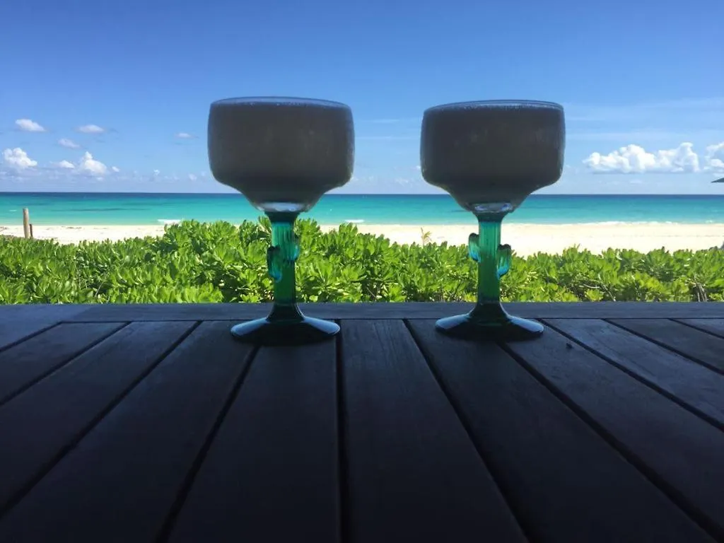 Amazing Beachfront Casa Del Mar Bonito, Playa Del Secreto, Riviera Maya Playa del Carmen