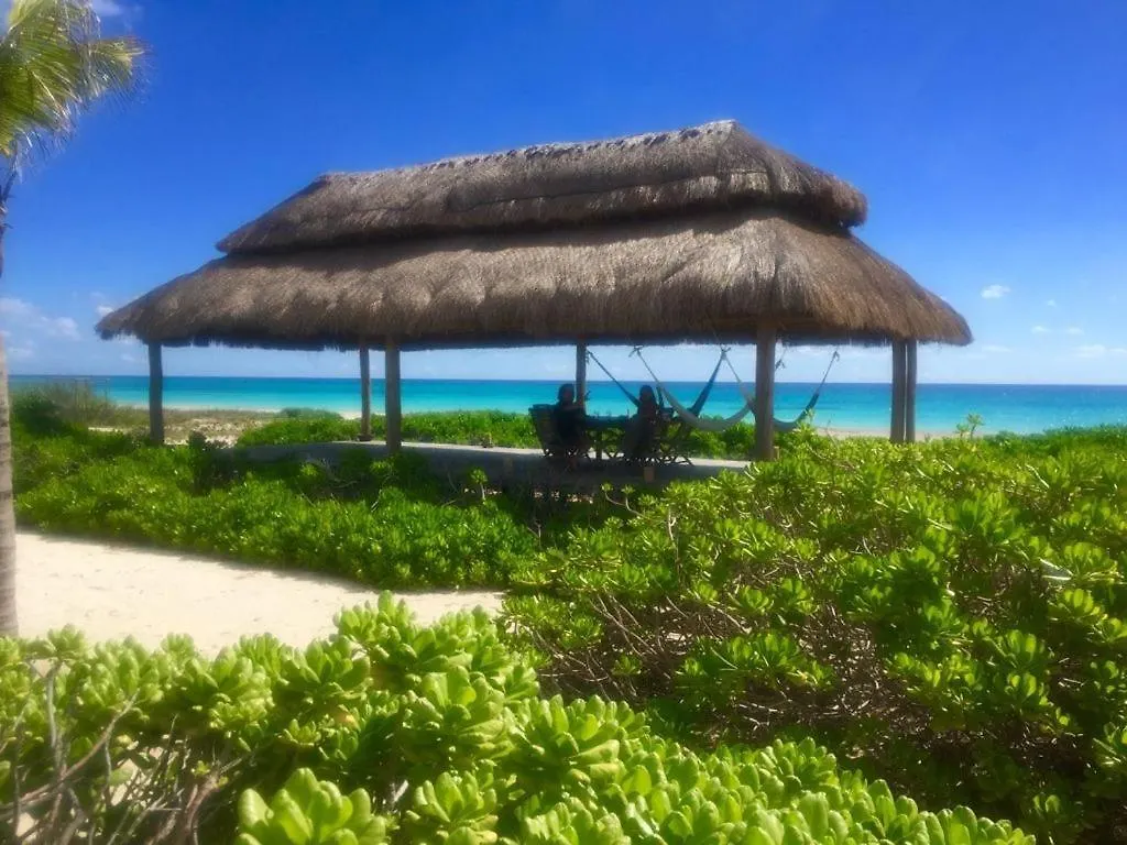 Amazing Beachfront Casa Del Mar Bonito, Playa Del Secreto, Riviera Maya Playa del Carmen 0*,
